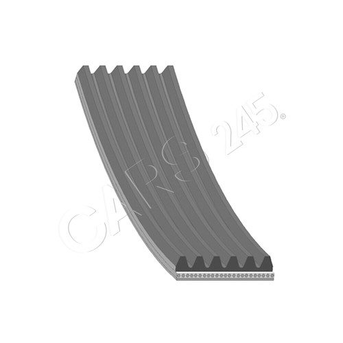 Ribbed belt blue print - print, fits