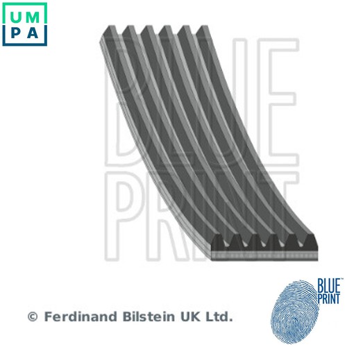 Vribbed belt ad06r1760 - vribbed, for